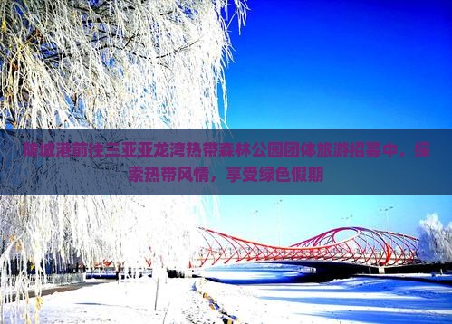 防城港前往三亚亚龙湾热带森林公园团体旅游招募中，探索热带风情，享受绿色假期