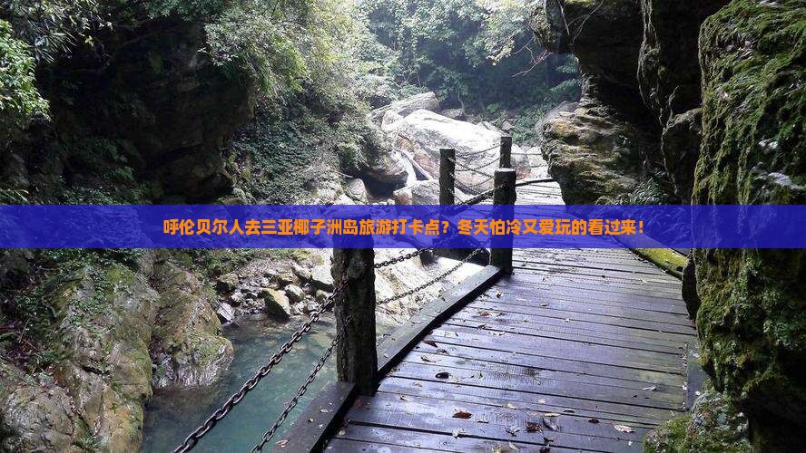 呼伦贝尔人去三亚椰子洲岛旅游打卡点？冬天怕冷又爱玩的看过来！