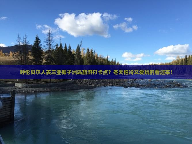 呼伦贝尔人去三亚椰子洲岛旅游打卡点？冬天怕冷又爱玩的看过来！
