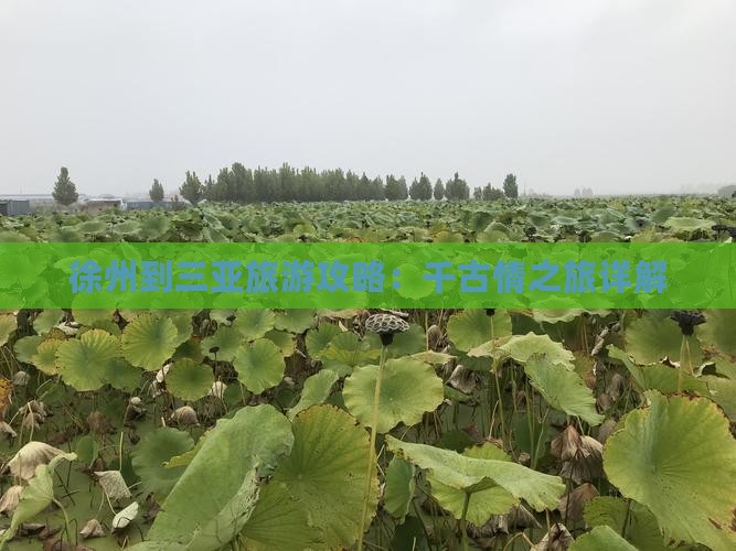 徐州到三亚旅游攻略：千古情之旅详解