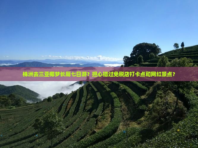株洲去三亚椰梦长廊七日游？担心错过免税店打卡点和网红景点？