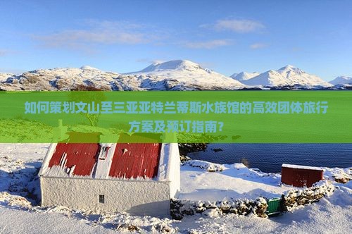 如何策划文山至三亚亚特兰蒂斯水族馆的高效团体旅行方案及预订指南？