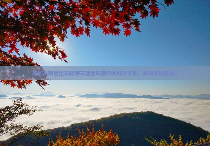 如何从鸡西出发畅游三亚西岛旅游网红打卡地，解决交通难题？