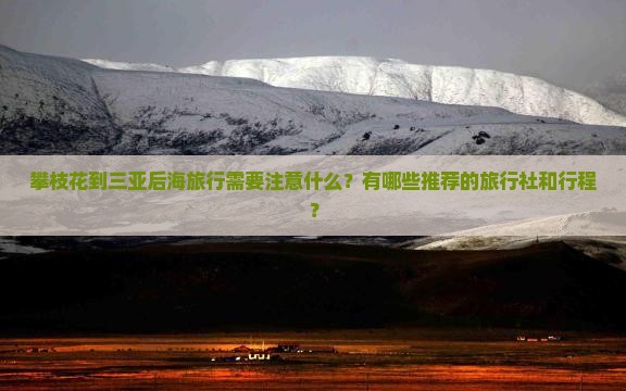 攀枝花到三亚后海旅行需要注意什么？有哪些推荐的旅行社和行程？