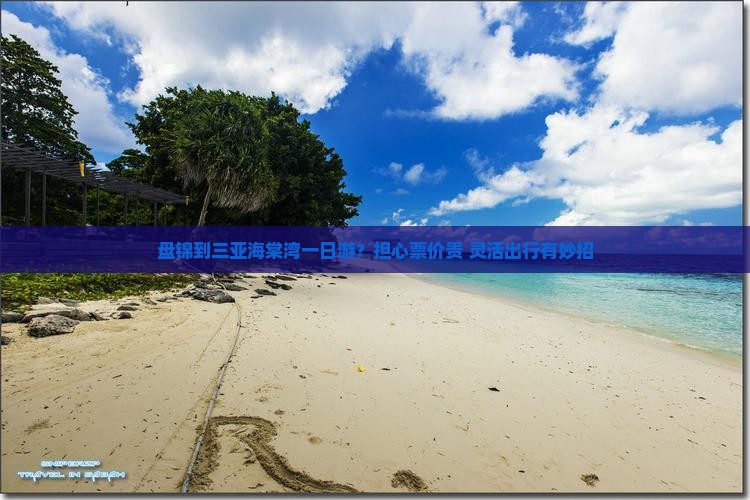 盘锦到三亚海棠湾一日游？担心票价贵+灵活出行有妙招