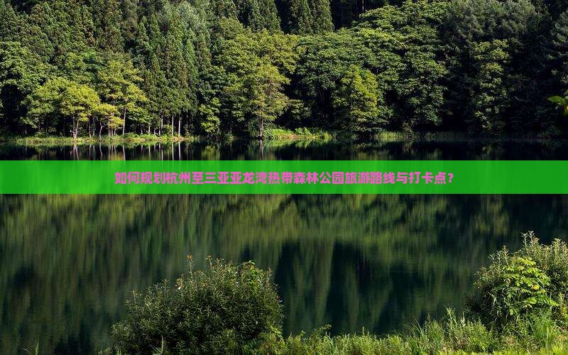如何规划杭州至三亚亚龙湾热带森林公园旅游路线与打卡点？