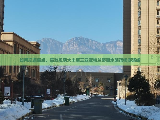 如何规避痛点，高效规划大丰至三亚亚特兰蒂斯水族馆畅游路峡