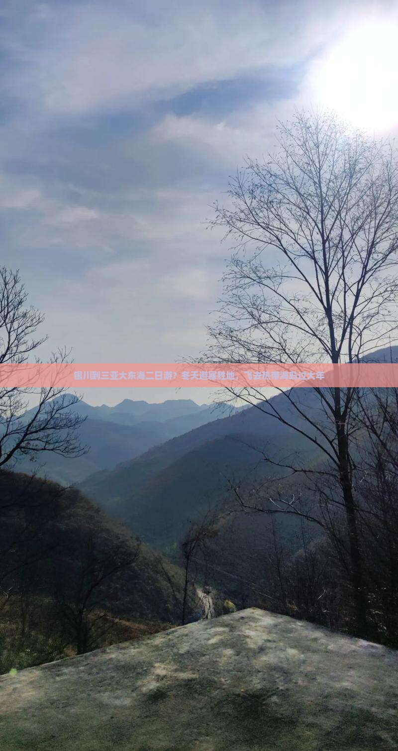 银川到三亚大东海二日游？冬天避寒胜地，飞去热带海岛过大年