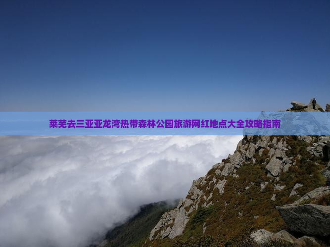 莱芜去三亚亚龙湾热带森林公园旅游网红地点大全攻略指南