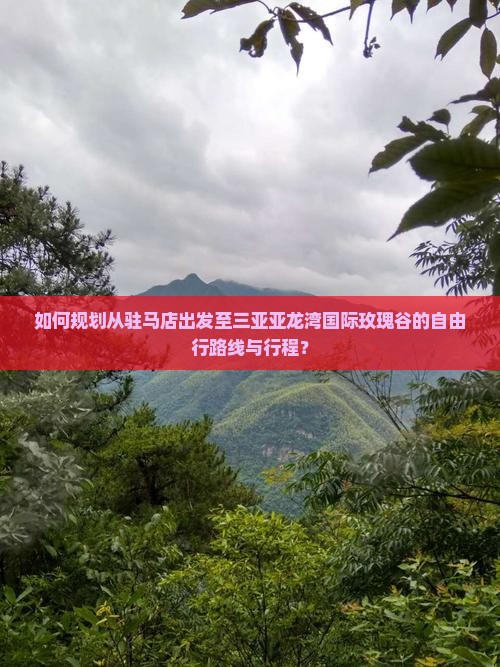 如何规划从驻马店出发至三亚亚龙湾国际玫瑰谷的自由行路线与行程？