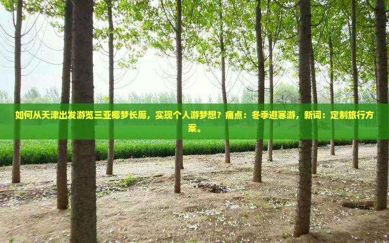 如何从天津出发游览三亚椰梦长廊，实现个人游梦想？痛点：冬季避寒游，新词：定制旅行方案。