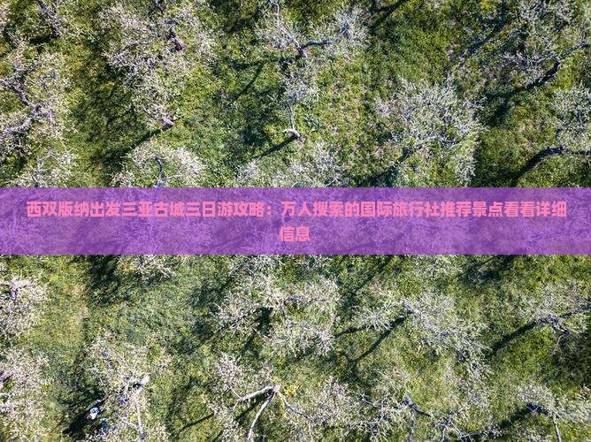 西双版纳出发三亚古城三日游攻略：万人搜索的国际旅行社推荐景点看看详细信息