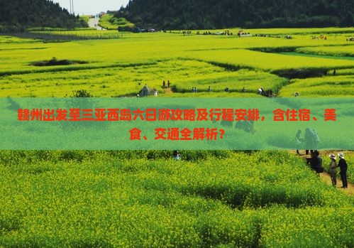 赣州出发至三亚西岛六日游攻略及行程安排，含住宿、美食、交通全解析？