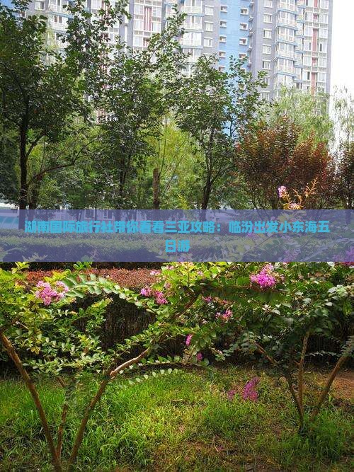 湖南国际旅行社带你看看三亚攻略：临汾出发小东海五日游