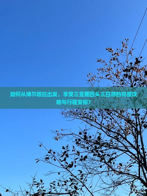 如何从博尔塔拉出发，享受三亚鹿回头三日游的完整攻略与行程安排？