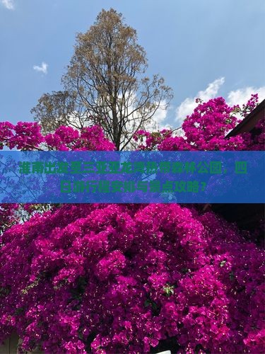 淮南出发至三亚亚龙湾热带森林公园，四日游行程安排与景点攻略？