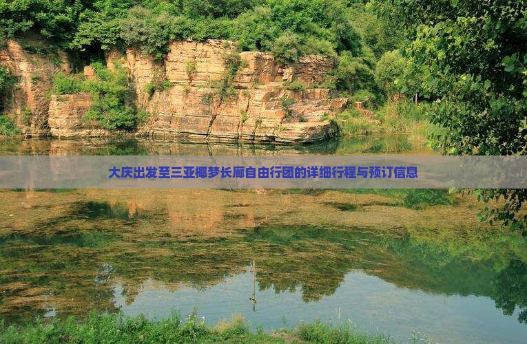 大庆出发至三亚椰梦长廊自由行团的详细行程与预订信息