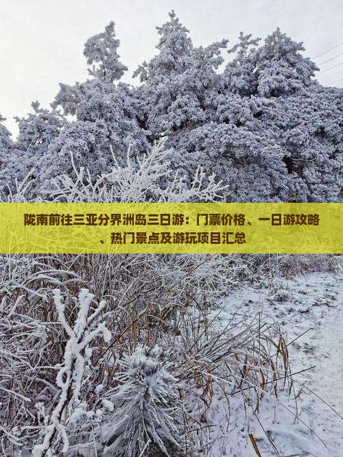 陇南前往三亚分界洲岛三日游：门票价格、一日游攻略、热门景点及游玩项目汇总