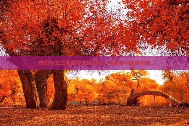 庆阳出发三亚椰梦长廊攻略：完整旅行路线指南