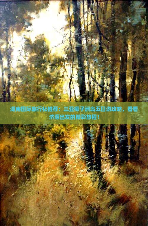 湖南国际旅行社推荐：三亚椰子洲岛五日游攻略，看看济源出发的精彩旅程！