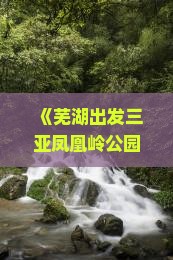 《芜湖出发三亚凤凰岭公园海南四日游攻略：景点详述与旅游路线指南》
