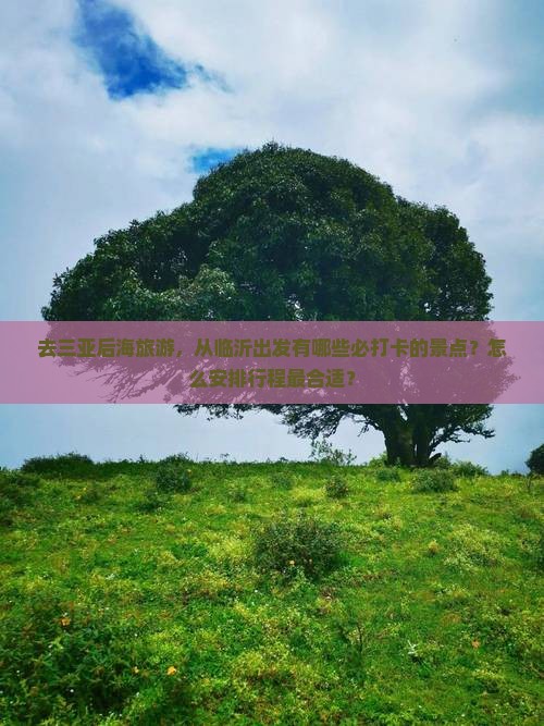 去三亚后海旅游，从临沂出发有哪些必打卡的景点？怎么安排行程最合适？