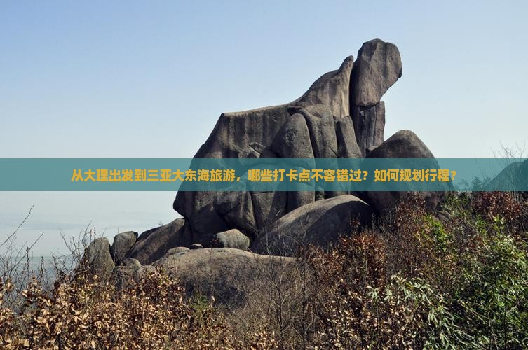 从大理出发到三亚大东海旅游，哪些打卡点不容错过？如何规划行程？