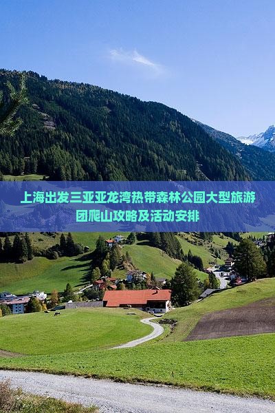 上海出发三亚亚龙湾热带森林公园大型旅游团爬山攻略及活动安排