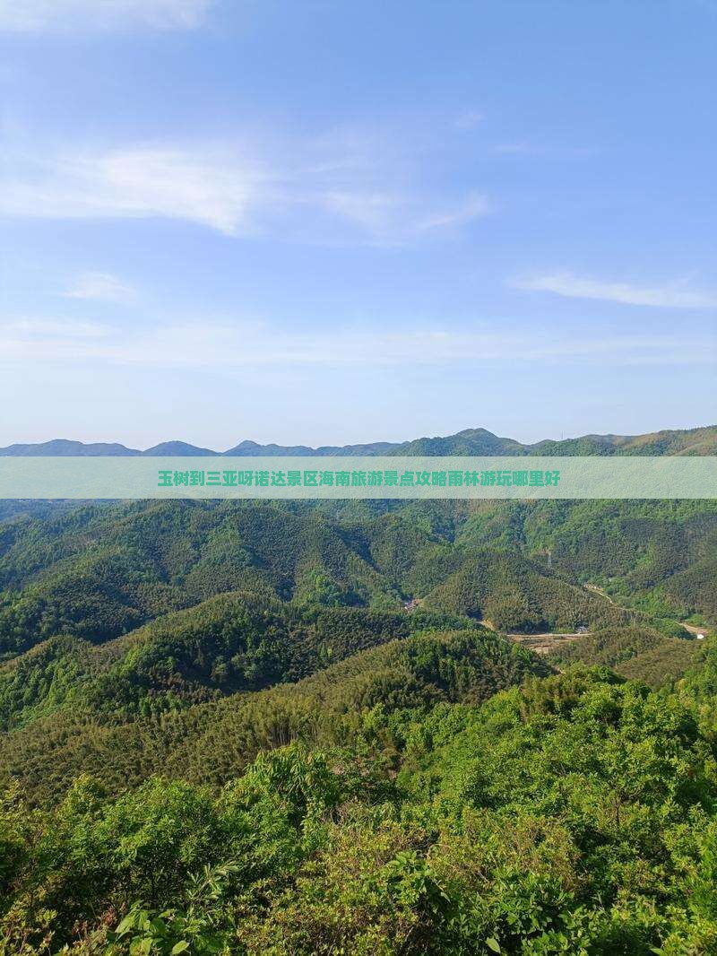 玉树到三亚呀诺达景区海南旅游景点攻略雨林游玩哪里好