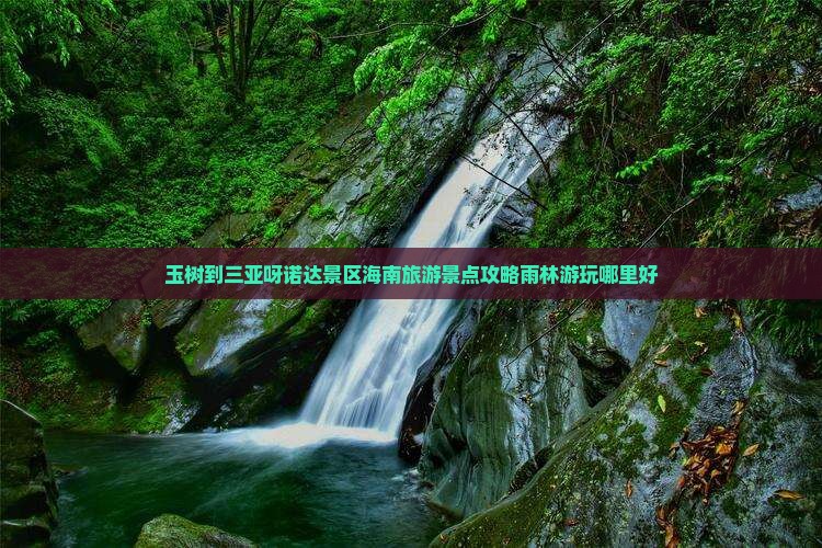 玉树到三亚呀诺达景区海南旅游景点攻略雨林游玩哪里好