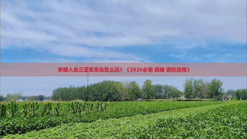 赤峰去三亚呆呆岛攻略