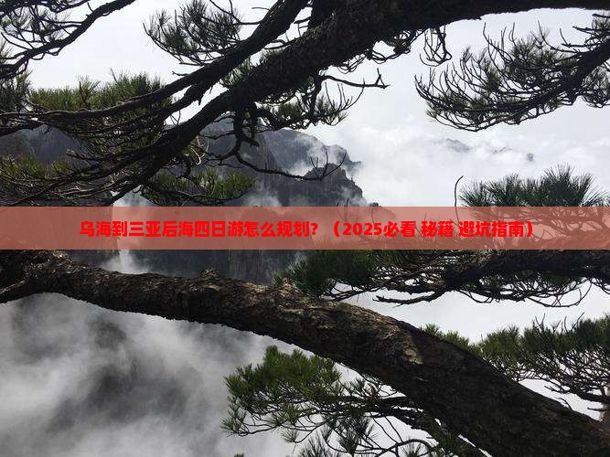 乌海市出发三亚后海四日游