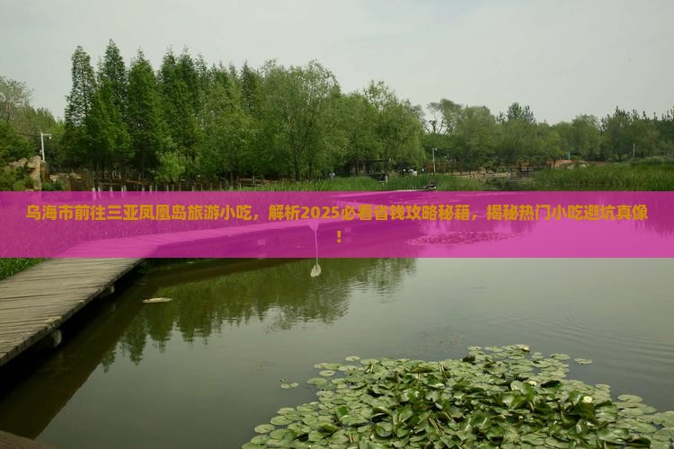 乌海市前往三亚凤凰岛旅游小吃