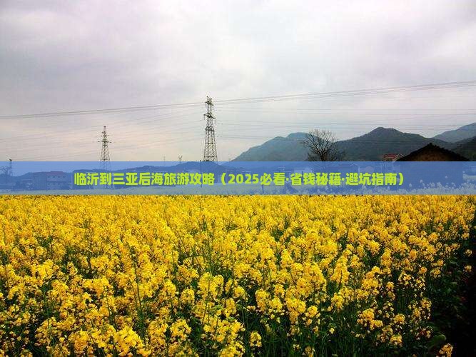 临沂出发三亚后海团体旅游