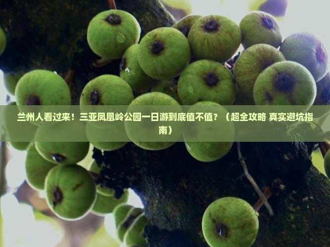 兰州出发三亚凤凰岭公园一日游