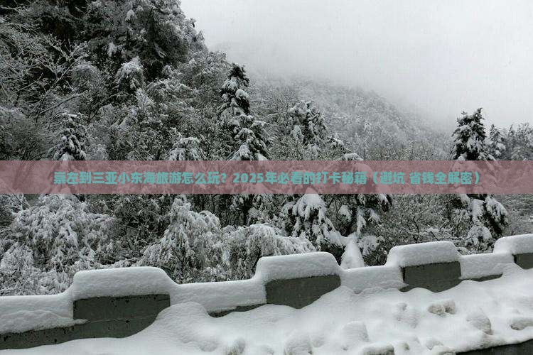 崇左前往三亚小东海旅游打卡点
