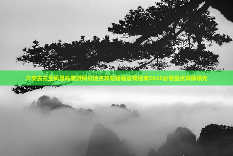 六安去三亚凤凰岛旅游网红地点