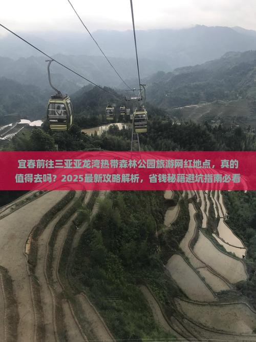 宜春前往三亚亚龙湾热带森林公园旅游网红地点