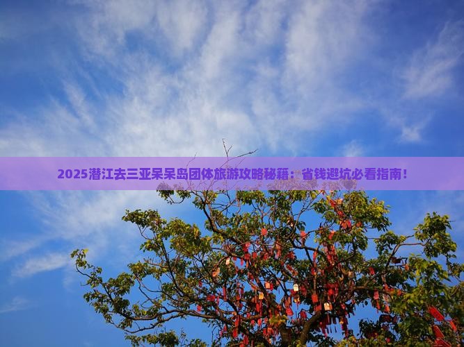 潜江去三亚呆呆岛团体旅游