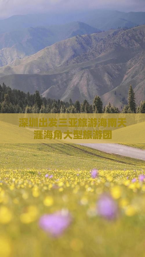 深圳去三亚天涯海角大型旅游团