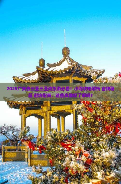 广安去三亚三亚湾旅游小吃