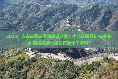 广安去三亚三亚湾旅游小吃
