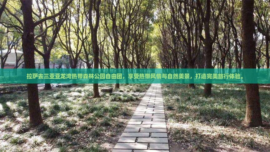 拉萨去三亚亚龙湾热带森林公园自由团