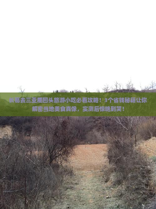 长葛去三亚鹿回头旅游小吃