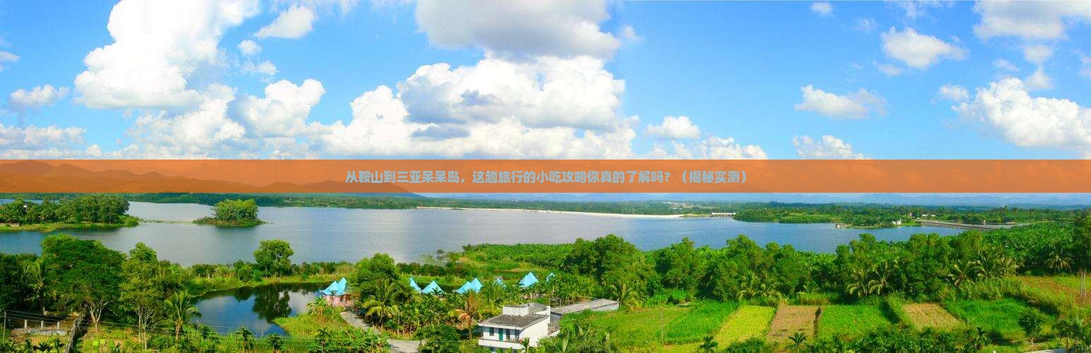 鞍山前往三亚呆呆岛旅游小吃