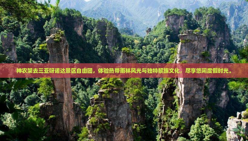 神农架去三亚呀诺达景区自由团