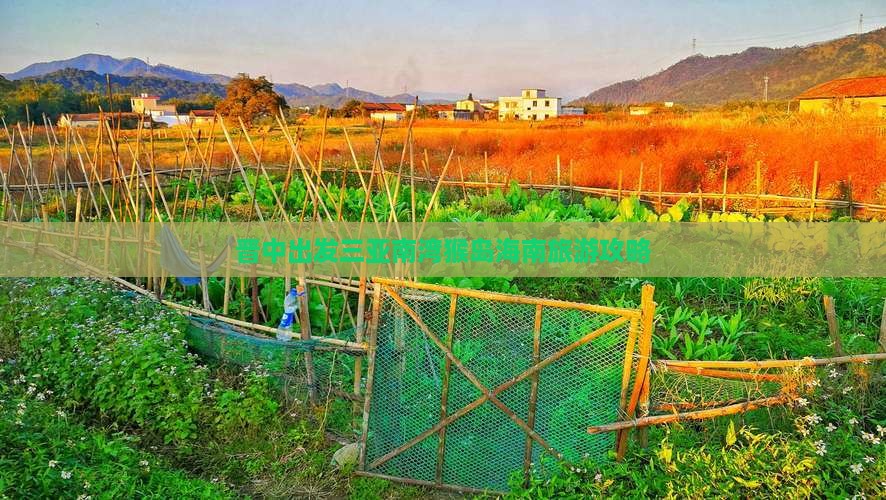 晋中出发三亚南湾猴岛自由团