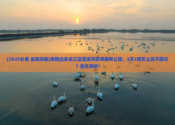 衡阳前往三亚亚龙湾热带森林公园旅游