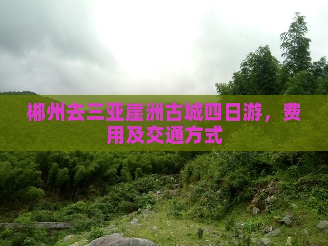 郴州去三亚崖洲古城四日游