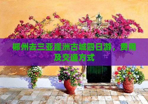 郴州去三亚崖洲古城四日游